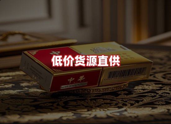 专业团队
